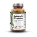 ANDROGRAPHIS EKSTRAKT BEZGLUTENOWY (260 mg) 60 KAPSUŁEK - PHARMOVIT (CLEAN LABEL) (PHARMOVIT )