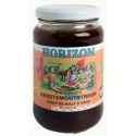 HORIZON Syrop ze słodu jęczmiennego BIO 450g (HORIZON)